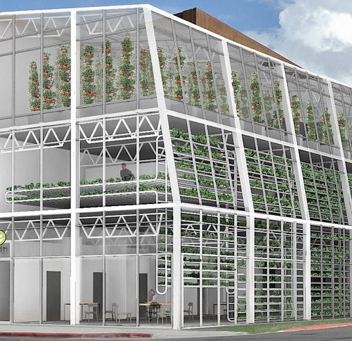 Aquaponics in multi-level guilding 03-2022