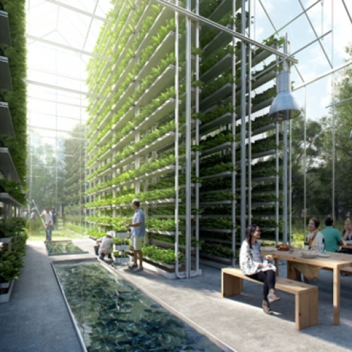 Greenhouse inside multi-level 03-2022